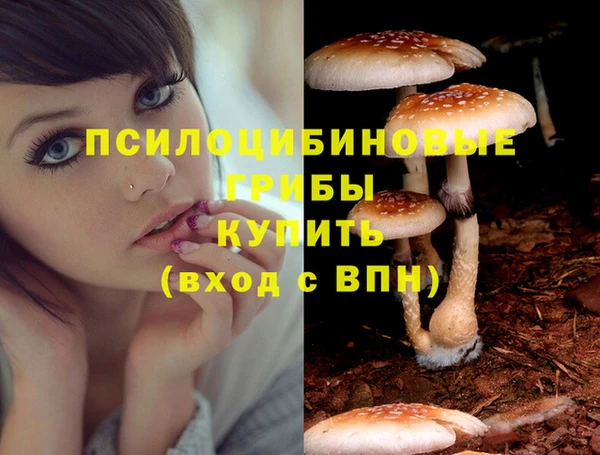 герыч Дмитриев