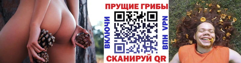 Галлюциногенные грибы мицелий  Старый Оскол 